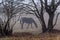 Single horse grazing in foggy autumn contryside