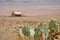 single house in a vast desert, cacti in the foreground