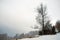 Single hut with big tree in winter mountain landscape.