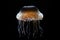 single illuminated jellyfish against a black background