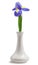 Single Iris Lily in White Vase on White Background