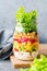 Single jar with layering vegan salad for healthy lunch with place for text.