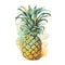 Single juicy pineapple isolated on white. Watercolor illustration