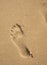 Single large bare footprint in damp yellow sand.
