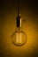 A single large filament hanging edison bulb.