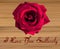 Single Large Red Rose on a wooden background
