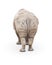 Single Large Rhinoceros From Behind Isolated on White