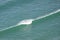 A single line of surf