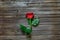 Single little rose over old wooden background