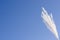 Single lone white reed plant stem against a blue sky