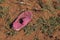 SINGLE LOST PINK SHOE IN THE SAND