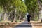 Single man running along an alley on a grey bike road in summer with running shoes and black shirt and trousers