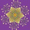 Single Mandala - Flower, Nature, Energy Symbol