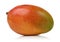 Single Mango fruit isolated on white
