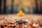 a single maple leaf is sitting on top of a pile of fallen leaves