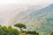 Single mediterranean pine tree growing on the top of the hill. Evergreen trees forests filling the gradient mountain range