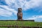 A Single Moai Statue on Easter Island