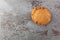Single molasses cookie offset on gray mottled background