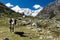 Single multi colored cow in beautiful mountain valley in Peru