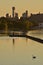 Single mute swan glides across rowing basin in the dawn\'s reflected light