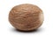 Single Nutmeg on white background