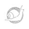 Single one curly line drawing illustration of adorable snail abstract art