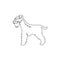 Single one line drawing of adorable miniature schnauzer for company logo identity. Purebred dog mascot concept for pedigree