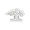 Single one line drawing beautiful and exotic Japanese bonsai tree. Decorative little banyan tree on tree concept for greeting post