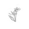 Single one line drawing beauty fresh strelitzia for garden logo. Decorative bird of paradise flower concept for home wall decor
