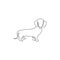 Single one line drawing of funny dachshund dog for logo identity. Purebred dog mascot concept for pedigree friendly pet icon.