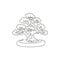 Single one line drawing old beauty exotic mini bonsai tree for home wall art decor poster. Decorative potted banyan plant for