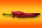 Single one red paprika sweet pepper on orange background