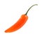 Single orange chili hot pepper