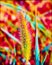 Single ornamental grass `brush` on a blurred background