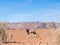 Single oryx gazelle (gemsbok) in Namibia