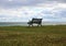 Single Outdoor Iron Bench at Ocean with Clouds