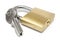 Single Padlock w/ Keys