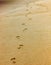 Single pair of footsteps on beach gradually walking away.alone
