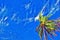 Single palm tree on blue sky. Coco palm skyscape. Tropical island vacation vintage digital illustration.