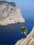 Single palm tree at the cliff above the deep blue sea