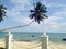 Single palm tree on white beach with roped gateway and blue sea Vietnam