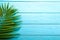 Single parlor palm leaf on blue wooden background