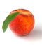 Single peach with leaves on a white background