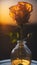 single peach rose, standing tall In glass vase, surrounded halo golden light. AI Generative