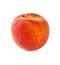 Single peach on a white background