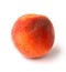 Single peach on a white background