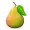 Single pear fruit close up