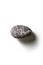 Single pebble on a white background