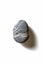 Single pebble on a white background