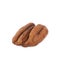 Single pecan nut isolated